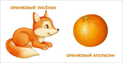 Мои первые цвета с доставкой по Минску от 70 рублей бесплатно!